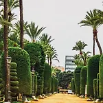 La Casa De Adolfo * 카디스
